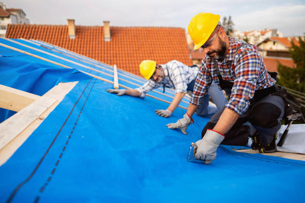 Best Roof Leak Repair  in Springfield, FL